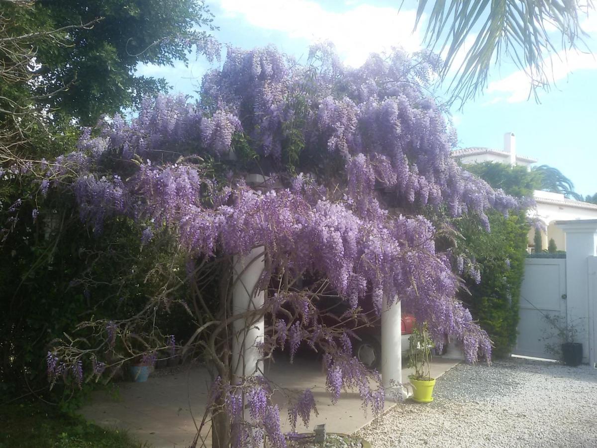 Villa Amadeus Xabia Balcon del Mar Bagian luar foto