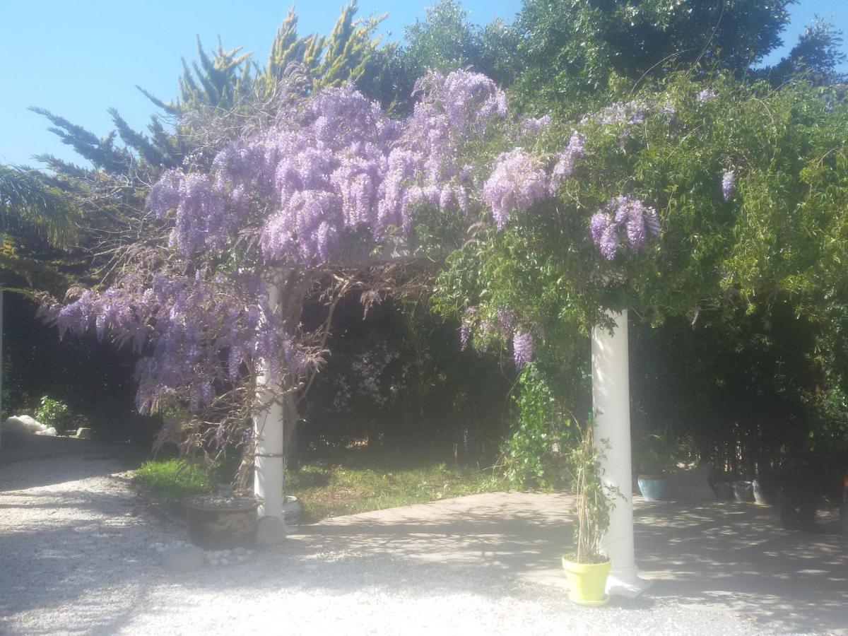 Villa Amadeus Xabia Balcon del Mar Bagian luar foto